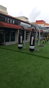 Icon Fitness רעננה - מועדון כושר