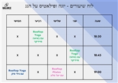 Balance Training & Therapy - חדר כושר