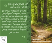 חוות שומרון / מרכז טיפולי ספורטיבי בשומר - מכוני כושר