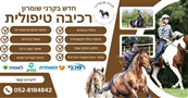 חוות שומרון / מרכז טיפולי ספורטיבי בשומר - חדר כושר