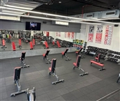 Team O אימוני כוח קבוצתיים יבנה אורן יצח - מכוני כושר