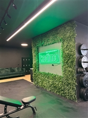 סטודיו קדימה שיעורי כוח קבוצתיים לנשים - מכוני כושר