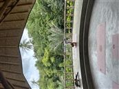 yahel yoga שיעורי יוגה קבוצתים בעין אייל - חדר כושר