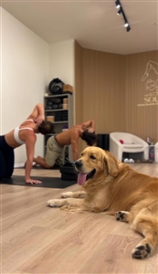 Soul Studio שיעורי פילאטיס לנשים  אשדוד - חדר כושר