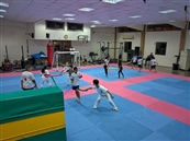 טאקוונדותן אימונים קבוצתיים ,שילר - מועדוני כושר