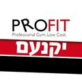 profit יוקנעם