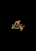Fly Fit - פילאטיס מכשירים ואימונים פונקצ