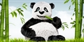 test snajya